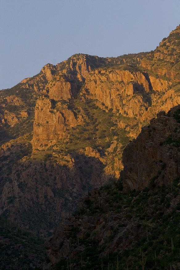 Catalina Foothills, AZ service area for Rodent Control