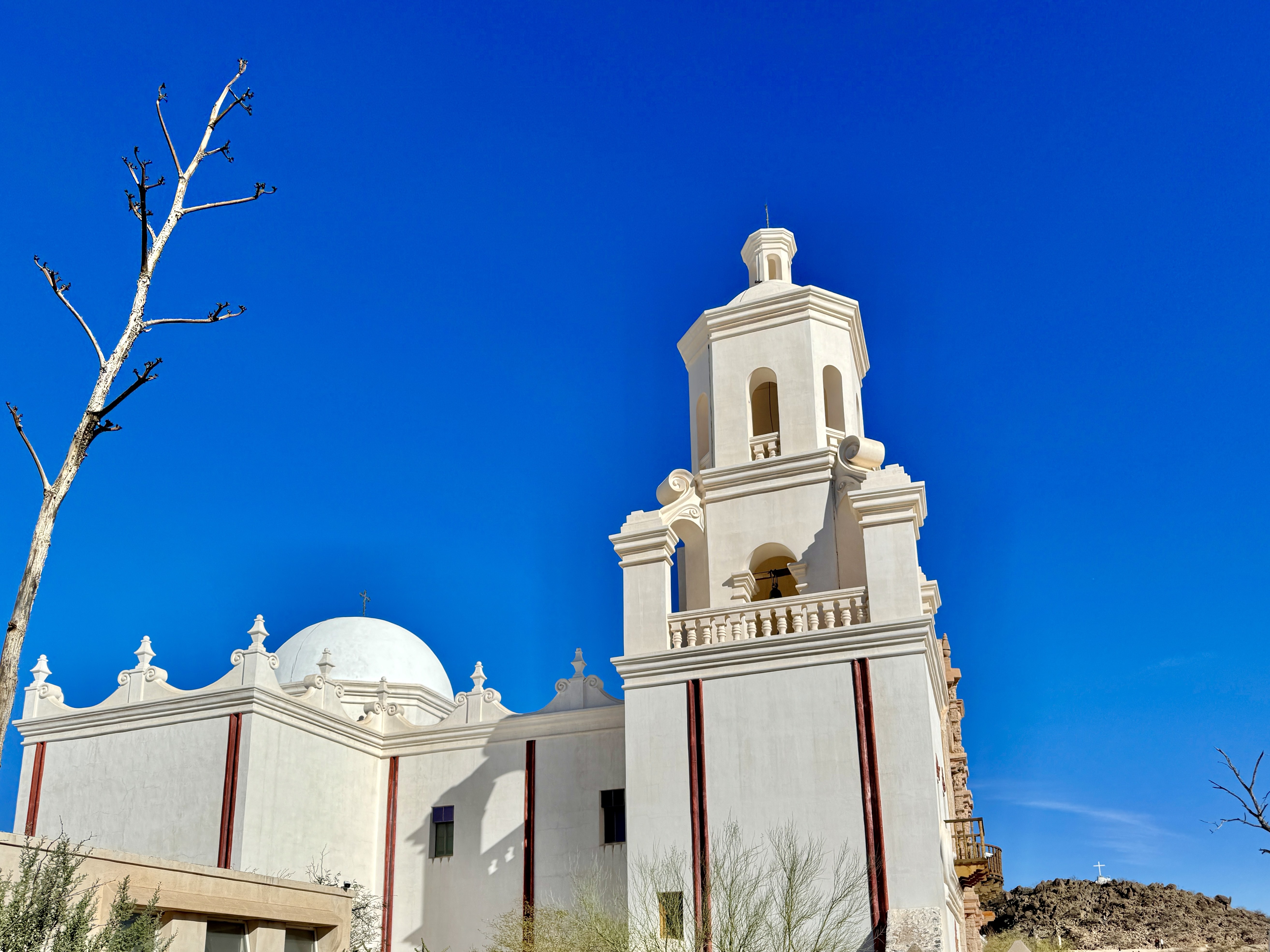 Drexel Heights, AZ service area for Rodent Control