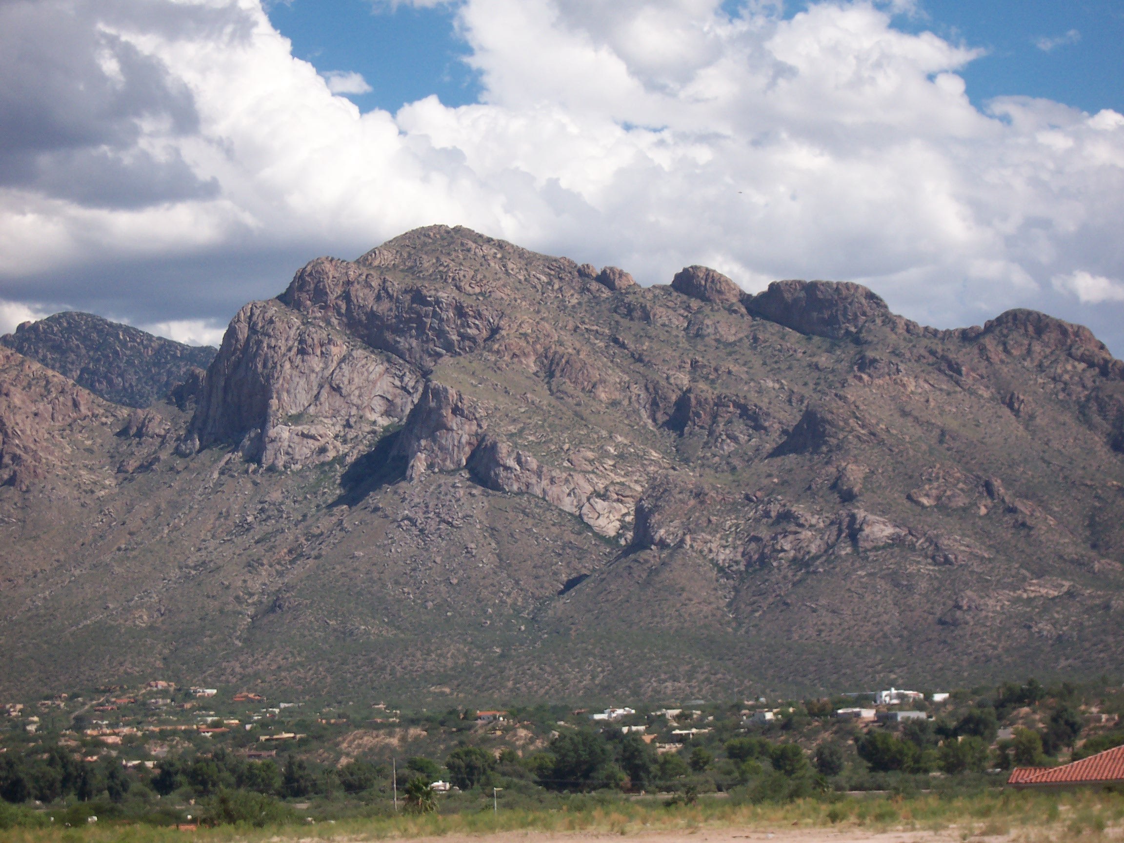Oro Valley, AZ service area for Rodent Control